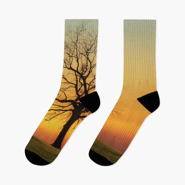 Item preview, Orange sunrise tree on the hill designed and sold by Delicarte.