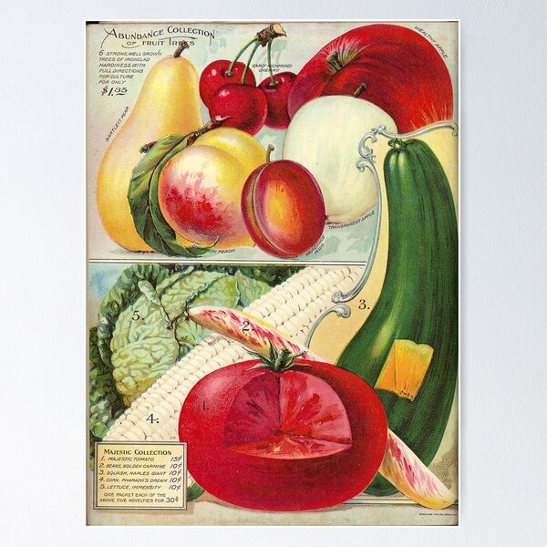 Item preview,   Vegetables and Fruits - Iowa Seed Co. 1904 Vintage Seed Poster designed and sold by killies.