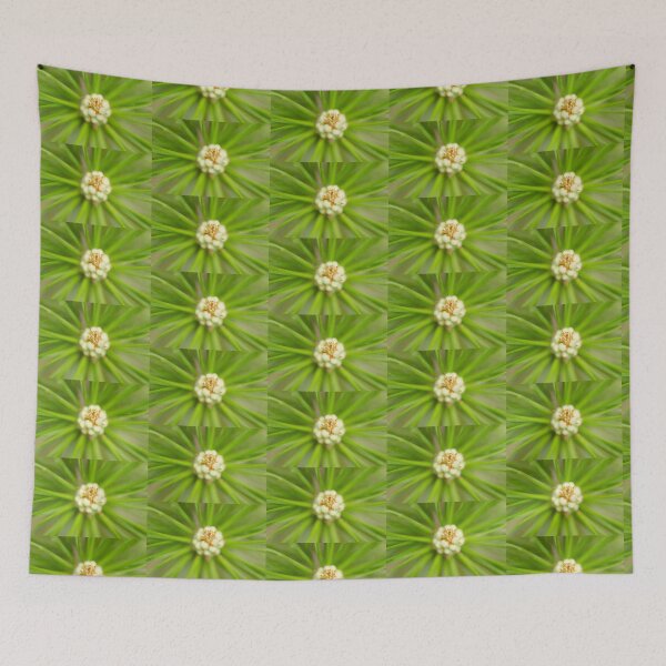 Item preview, macro pine flower designed and sold by Christine Crosby - Sunlight Inspirations.