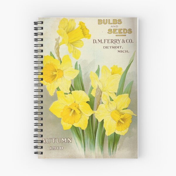 Item preview, Daffodils - Bulbs and seeds, 1910 designed and sold by killies.