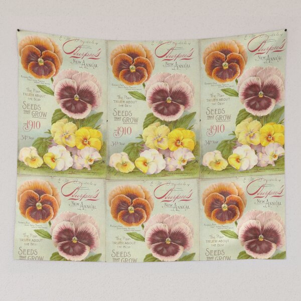 Item preview, Pansies - Burpee's new annual, 1910 designed and sold by killies.