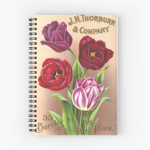 Item preview, Tulips - Thorburn & Co. 1904 designed and sold by killies.