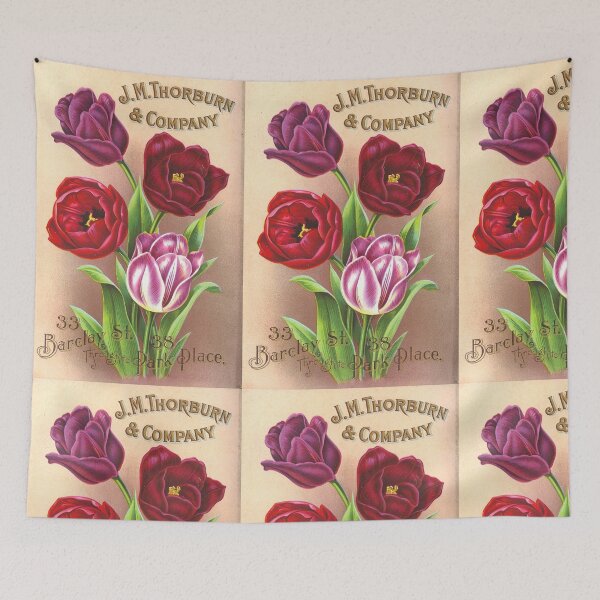 Item preview, Tulips - Thorburn & Co. 1904 designed and sold by killies.