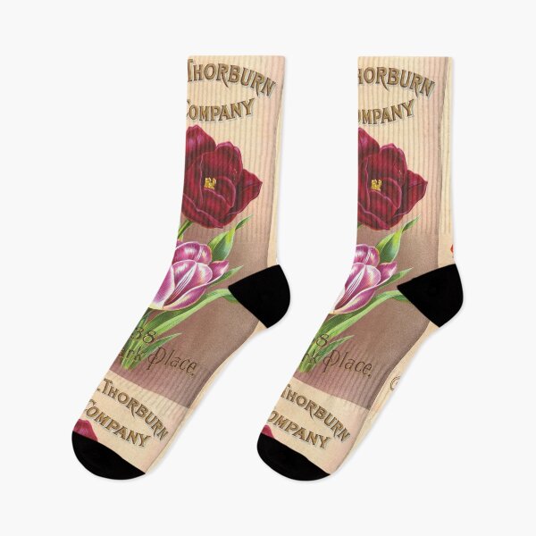 Item preview, Tulips - Thorburn & Co. 1904 designed and sold by killies.