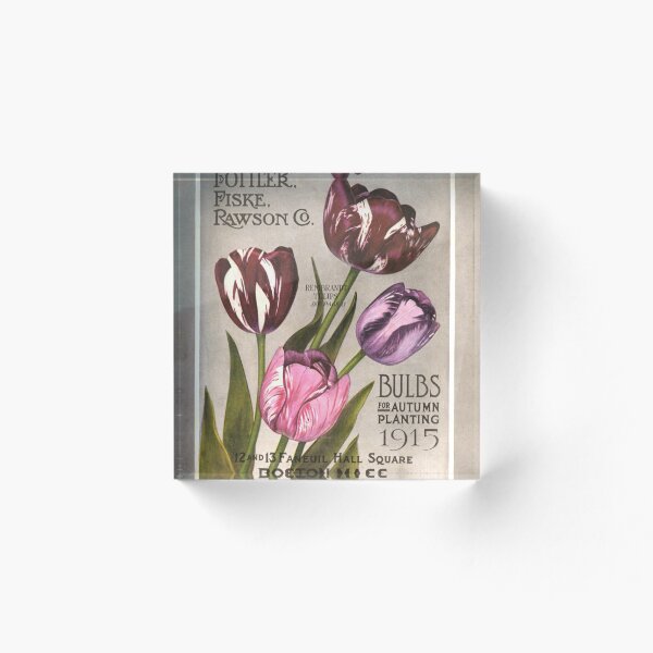 Artikelvorschau, Rembrandt-Tulpen – Rawson Co. 1915 entworfen und verkauft von killies.
