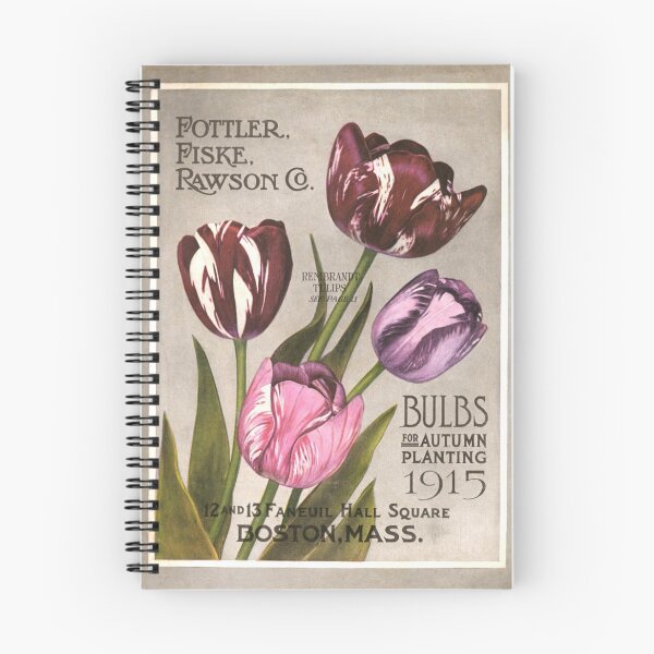 Item preview, Rembrandt tulips - Rawson Co. 1915 designed and sold by killies.