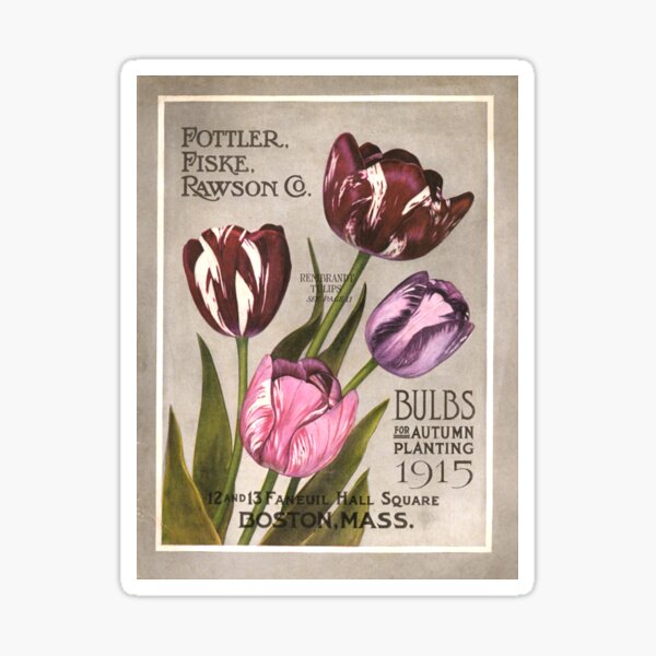 Item preview, Rembrandt tulips - Rawson Co. 1915 designed and sold by killies.