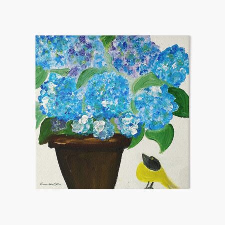 Láminas rígidas: Hortensias Azules | Redbubble