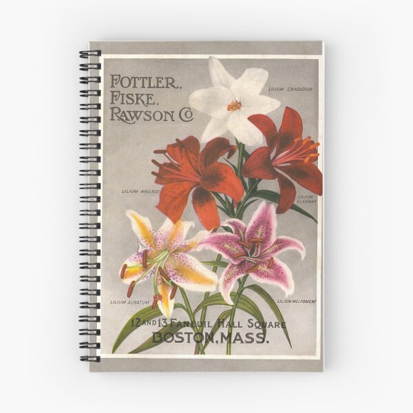 Item preview, Lillies - Rawson Co. 1915 designed and sold by killies.
