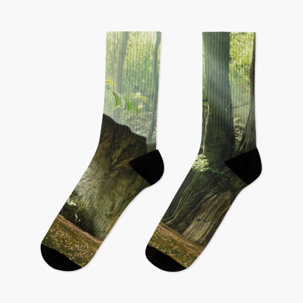 Item preview, Deep forest sunlight designed and sold by GraphicConcepts.