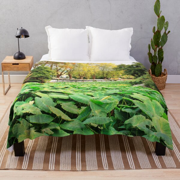 Item preview, Taro field designed and sold by Gaspar Avila.
