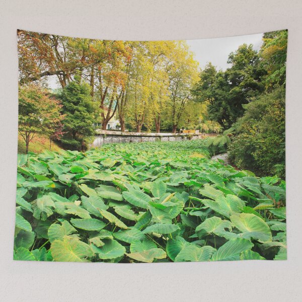 Item preview, Taro field designed and sold by Gaspar Avila.