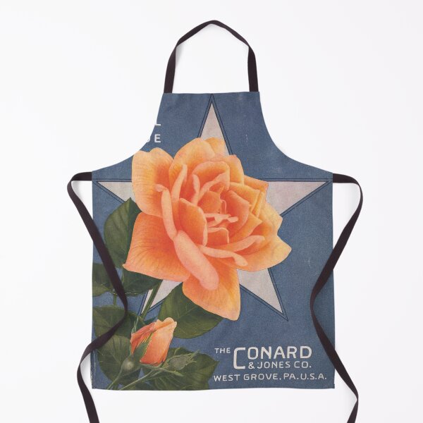 Item preview, Rose "sunburst" - Conard & Jones co.1915 designed and sold by killies.