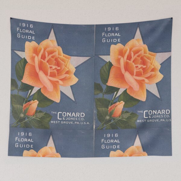 Item preview,  Rose "sunburst" - Conard & Jones co.1915 designed and sold by killies.