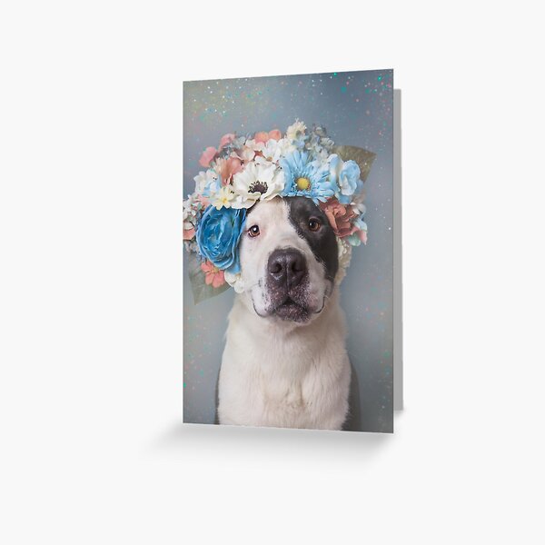 Item preview, Pit Bull Flower Power, Perry Carter designed and sold by SophieGamand.