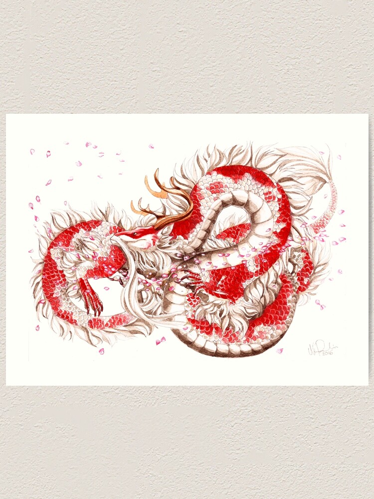 Koi Dragon Art Print By Shinondraws Redbubble