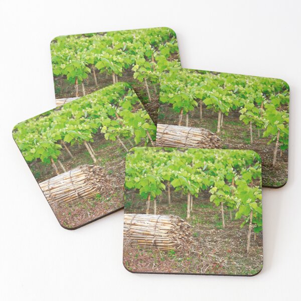 Item preview, Grape vines designed and sold by Gaspar Avila.
