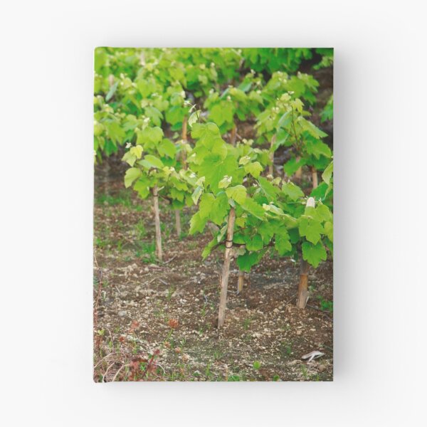 Artikelvorschau, Weinreben entworfen und verkauft von Gaspar Avila.