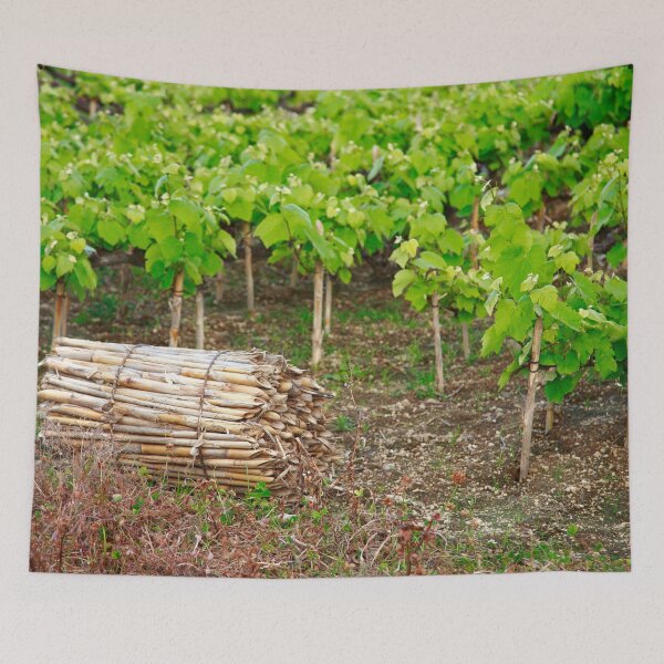 Item preview, Grape vines designed and sold by Gaspar Avila.