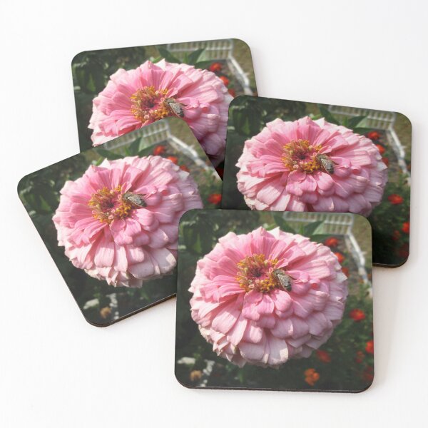 Item preview, 091520 Zinnia and Bee designed and sold by Campbell Gallery.