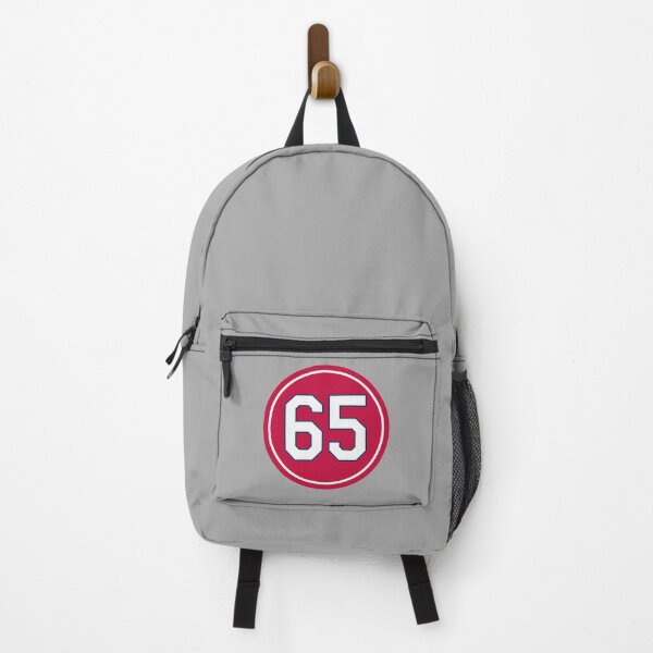 Item preview, Giovanny Gallegos #65 Jersey Number designed and sold by StickBall.
