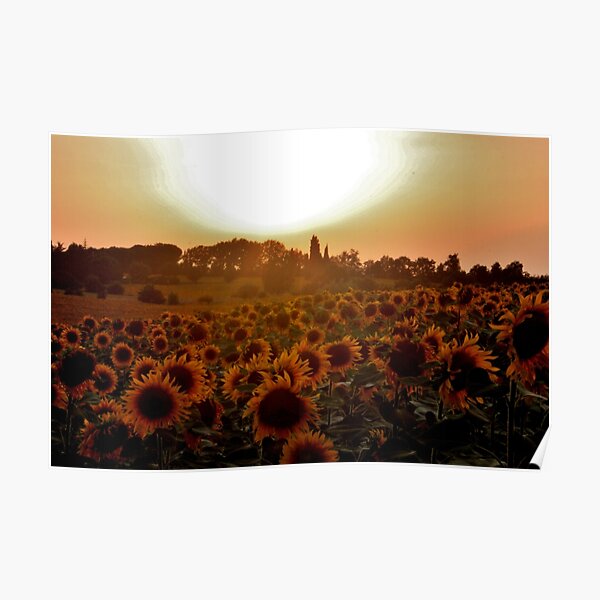GIRASOLE 3 Poster