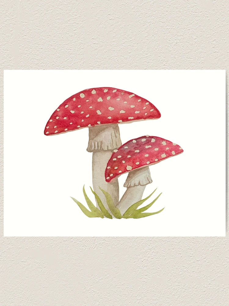 6 miniature pictures, set of four good mushroom original watercolour illustrations, fly agaric, amanita, forest witch gifts, wall decoration home