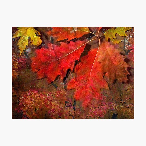 Item preview, Glow of October designed and sold by MarjorieB.