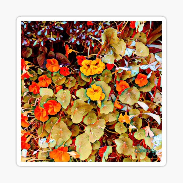 Garden colors November Sticker