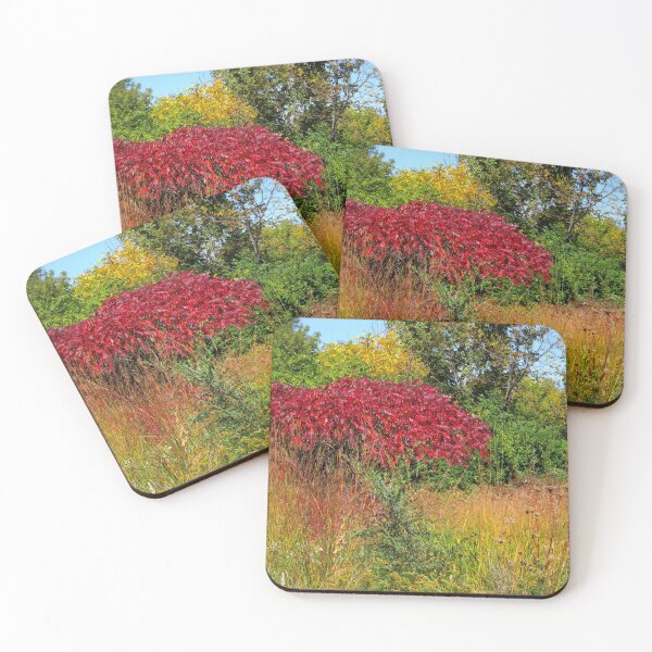 Item preview, Painted Prairie designed and sold by MarjorieB.