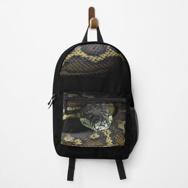 Item preview, A Python watching Me designed and sold by Clare Colins.