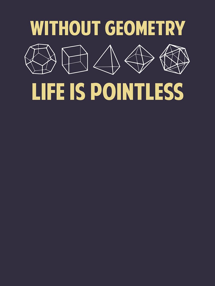 without-geometry-life-is-pointless-t-shirt-for-sale-by-theshirtyurt