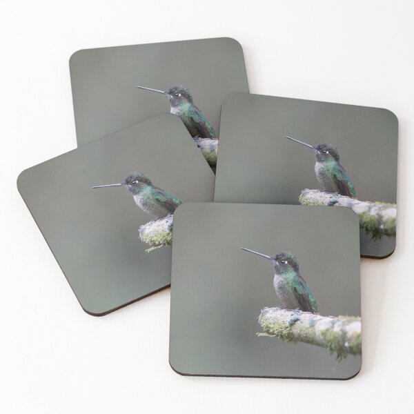 Item preview, Talamanca Hummingbird designed and sold by mlorenz.