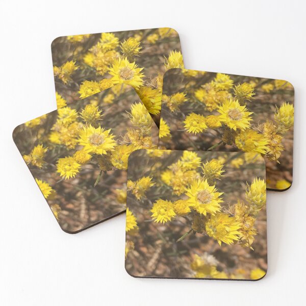 Item preview, Australia - Kalbarri - Strawflower designed and sold by Solveig Winn.