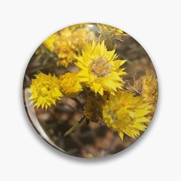 Item preview, Australia - Kalbarri - Strawflower designed and sold by Solveig Winn.