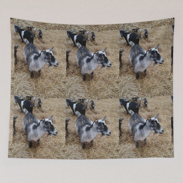 Item preview, Baby Goat designed and sold by NathanMoore92.