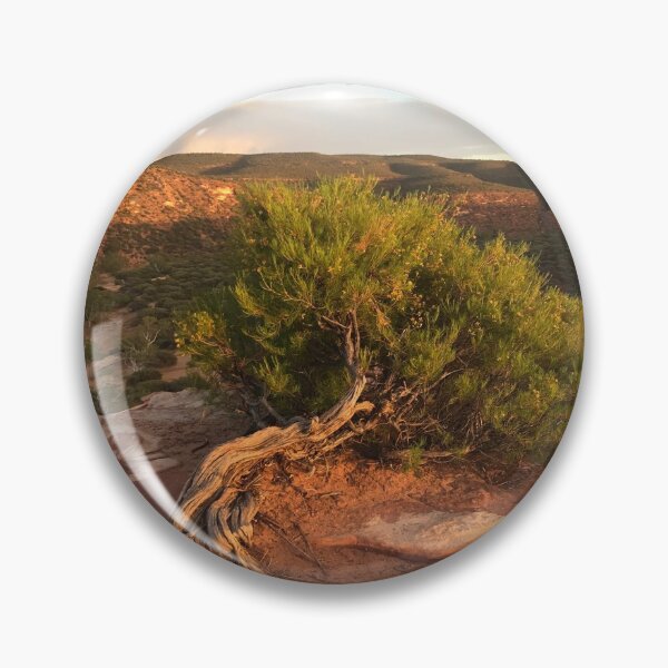 Item preview, Australia - Kalbarri - Sunrise Tree designed and sold by Solveig Winn.