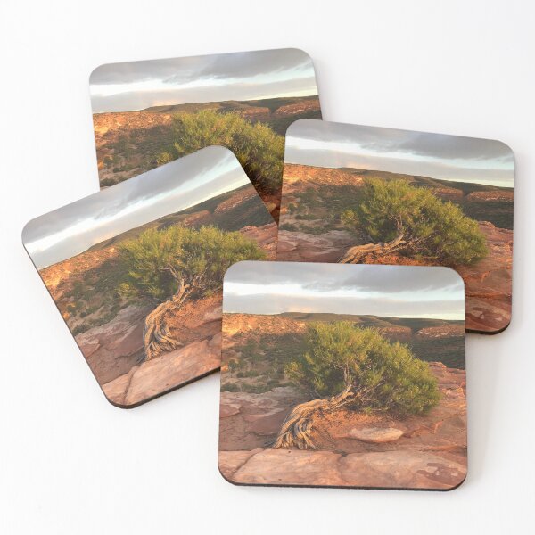 Item preview, Australia - Kalbarri - Sunrise Tree designed and sold by Solveig Winn.