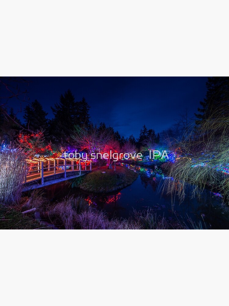 Japanese Gardens Christmas 1 by tobysnelgrove