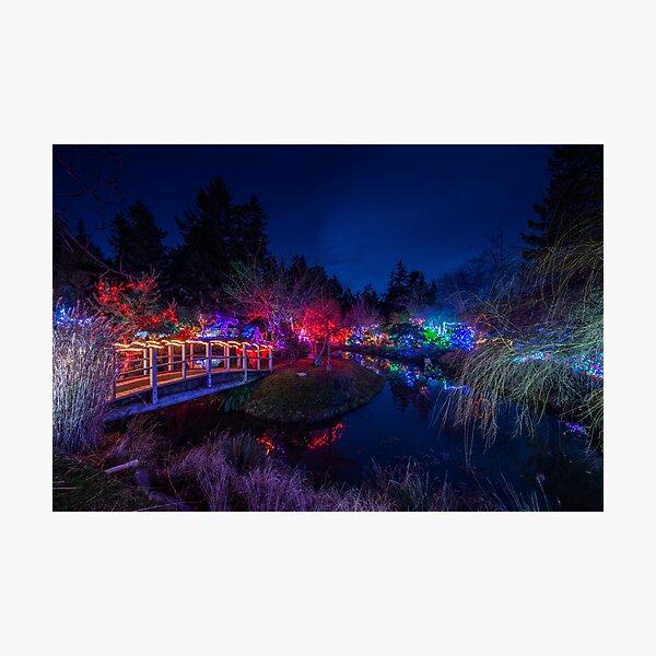 Japanese Gardens Christmas 1 Photographic Print