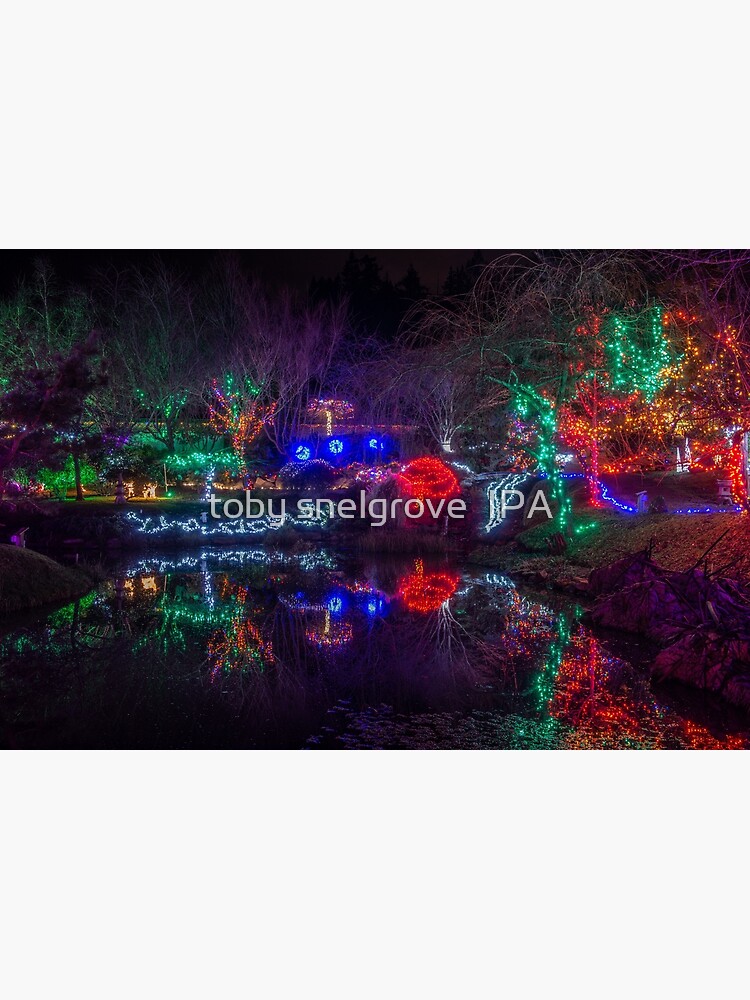 Japanese Gardens Mayne Island Christmas 5 by tobysnelgrove