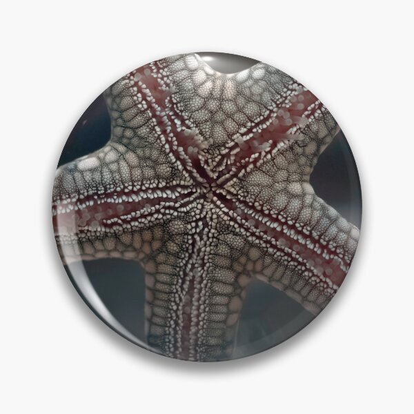 Item preview, Starfish closeup macro photo designed and sold by hendrikspix.