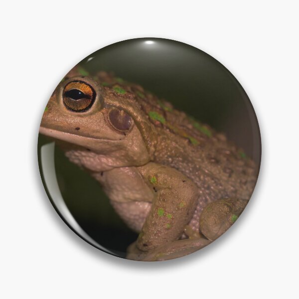 Item preview, Motorbike frog at night on a stick designed and sold by hendrikspix.