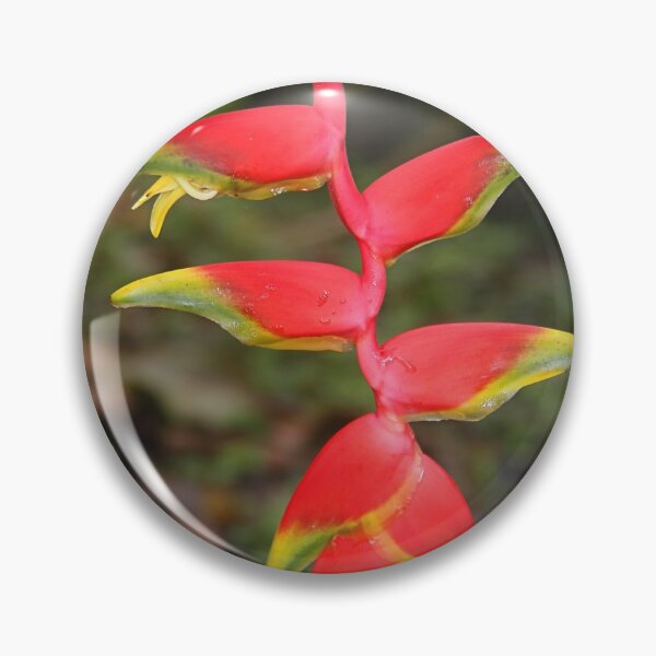 Item preview, An Exotic Heliconia designed and sold by Carole-Anne.