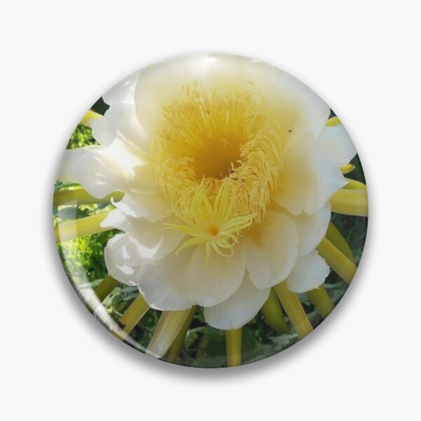Item preview, Pitaya designed and sold by praupp.