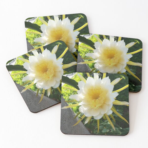 Item preview, Pitaya designed and sold by praupp.