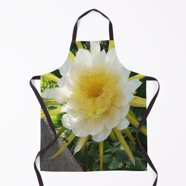 Item preview, Pitaya designed and sold by praupp.