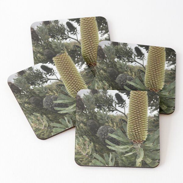 Item preview, Australia - Kalbarri - Banksia designed and sold by Solveig Winn.