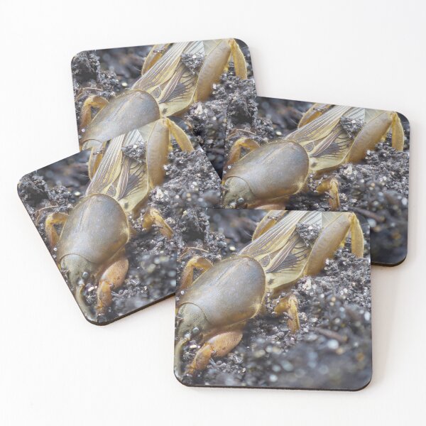 Item preview, Very detailed macro photo of a mole cricket digging in the ground designed and sold by hendrikspix.