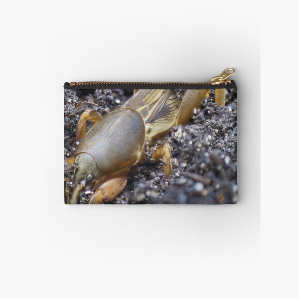Item preview, Very detailed macro photo of a mole cricket digging in the ground designed and sold by hendrikspix.